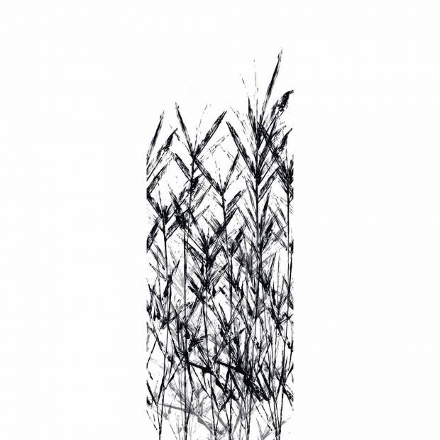 Papier peint Rosseau