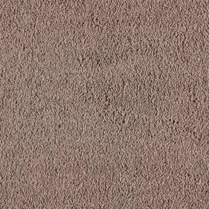 Moquette Hadera