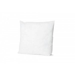 Intérieur de Coussin