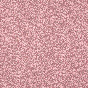 Tissu Appoline