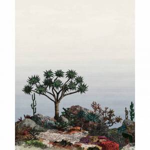 Panoramique Yucca