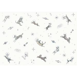 Papier Peint Doggy Gravity