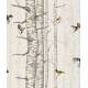 Papier Peint Birch Trees Vynil