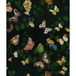 Papier Peint Magic Butterflies Vynil