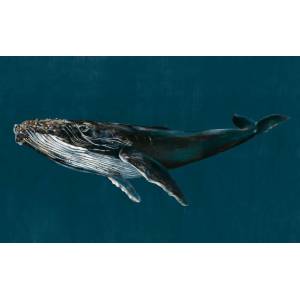Papier Peint Humpback Whale Vynil