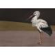 Papier Peint Stork Mother