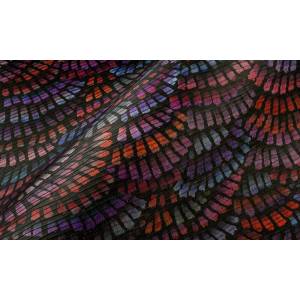 Papier peint Dandelion Cranes