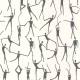Papier peint Alberto