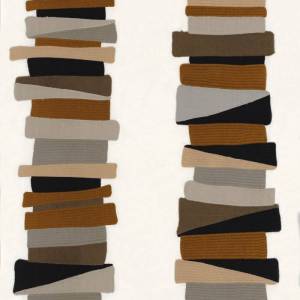 Tissu valvidia