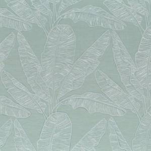 Tissu Cook