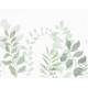 Papier Peint Grow