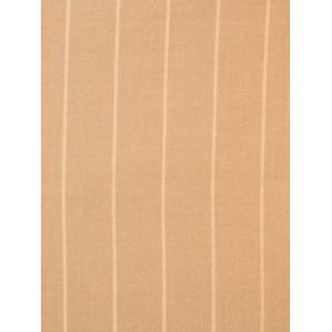Tissu Dashing Stripe