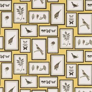 Papier Peint Picture Gallery
