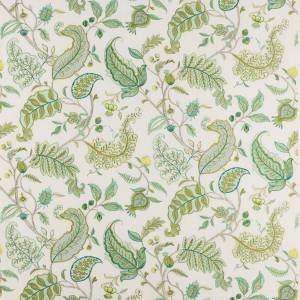 Tissu Colombe