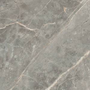 Carrelage Etoile de Rex Glossy