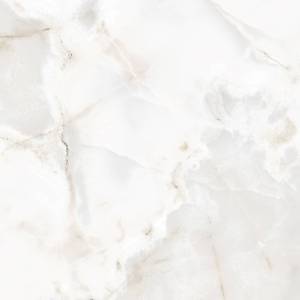 Carrelage Rêves de Rex Glossy
