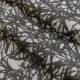 Tissu Scratch