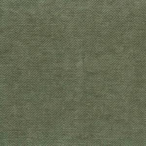 Tissu Zhi