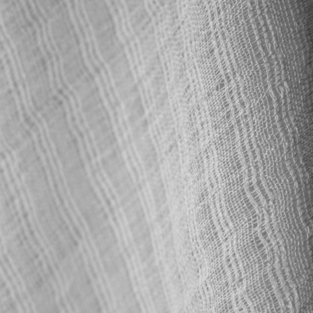 Voile Dhow (F6221)