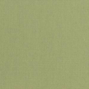 Papier Peint Canvas