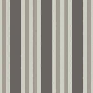 Papier Peint Polo Stripe