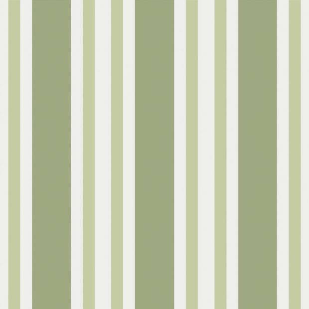 Papier Peint Polo Stripe