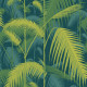 Papier Peint Palm Jungle