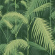 Papier Peint Palm Jungle