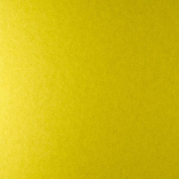 Papier Peint Tints