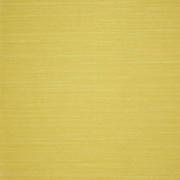 Papier peint Uni Spring
