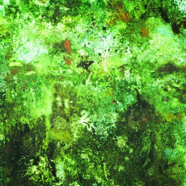 Papier peint Vert de Gris