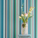 Papier Peint Original Stripes +