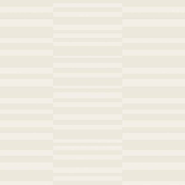 Papier Peint Optique Stripes +