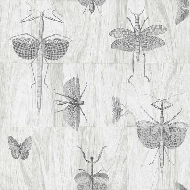 Papier peint Wings