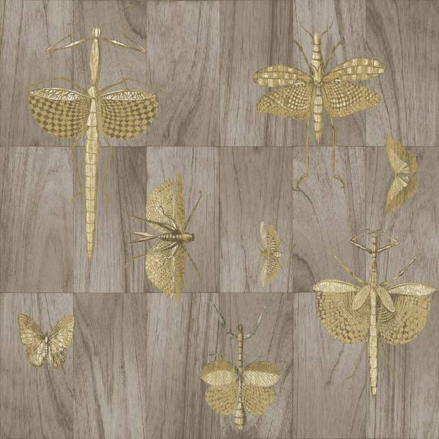 Papier peint Wings