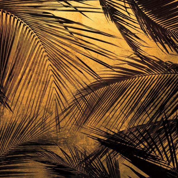 Papier peint Palms