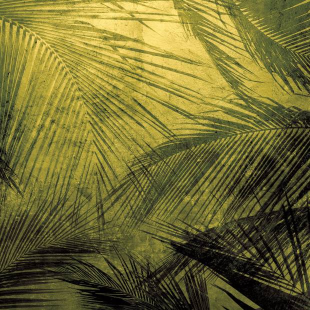 Papier peint Palms