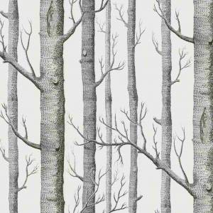 Papier peint Woods