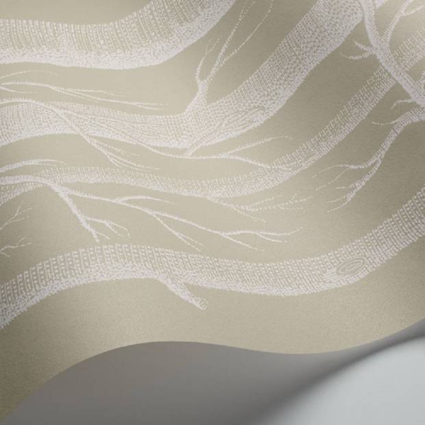 Papier peint Woods