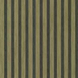 Papier Peint Petite Stripe