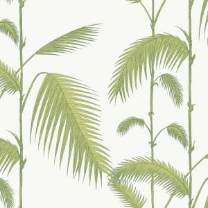 Papier peint Palm