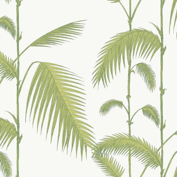 Papier peint Palm