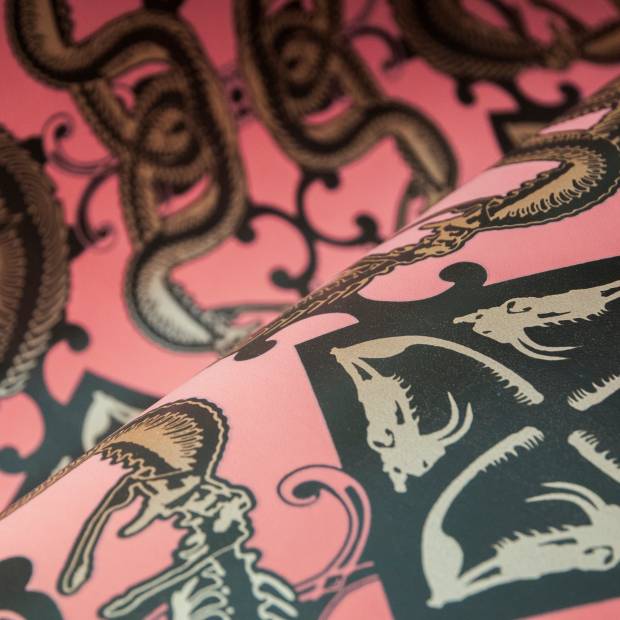 Papier peint Snake Bit