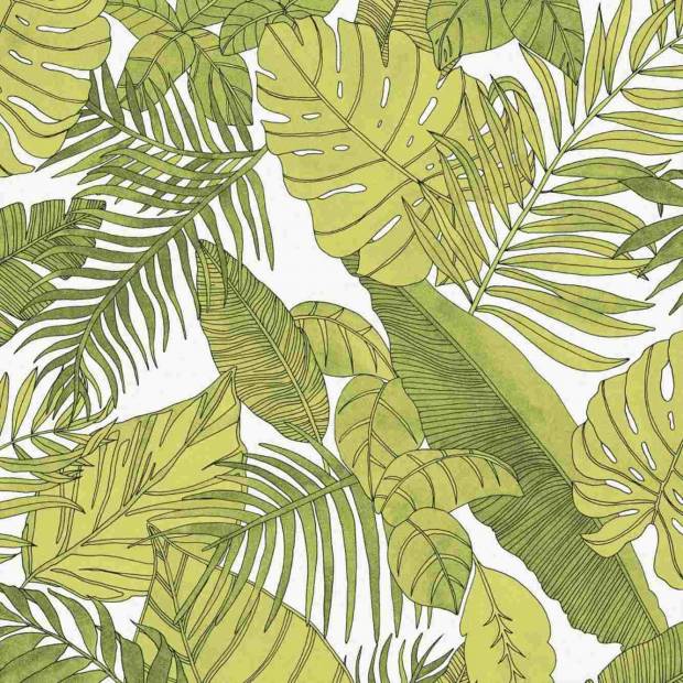 Papier Peint Tropical