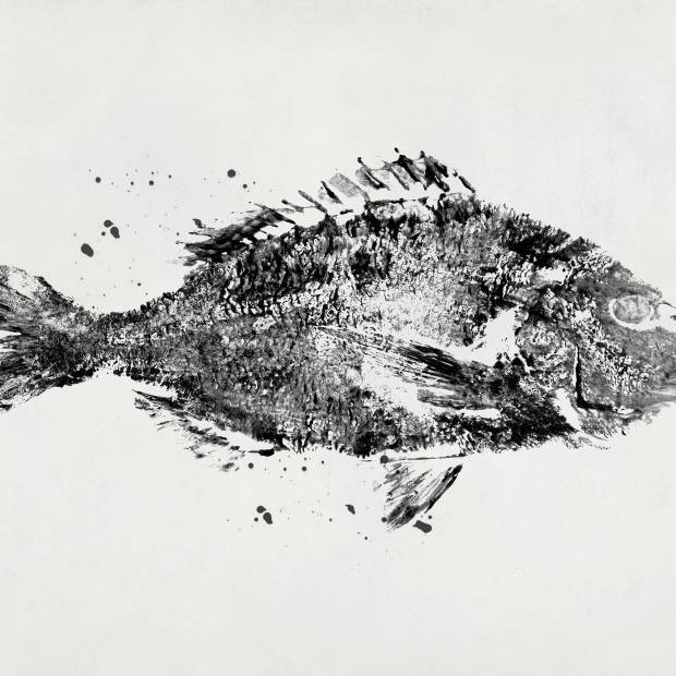 Papier peint Poissons