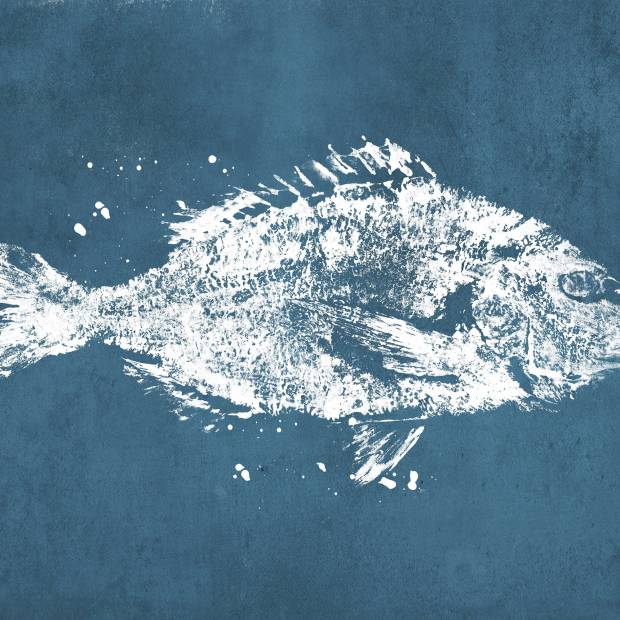 Papier peint Poissons