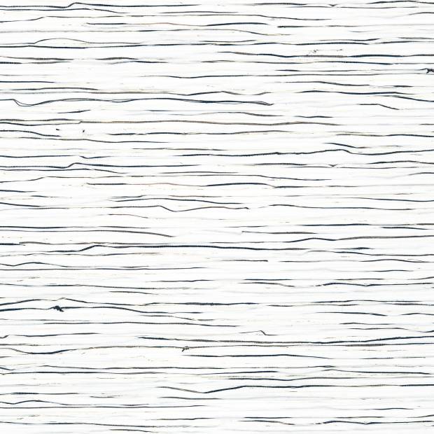 Papier Peint Zephyr