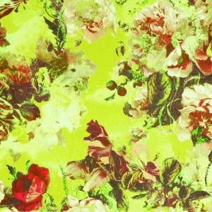 Papier peint Flamboyant