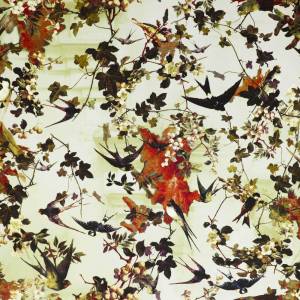 Papier peint Hirondelles