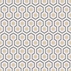 Papier peint Hick's Hexagon